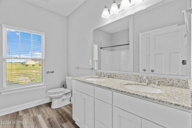 bathroom with wood-type flooring and vanity