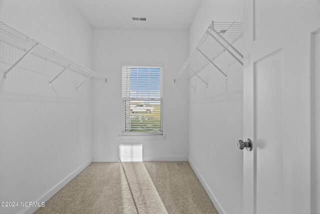 empty room with ceiling fan and carpet floors