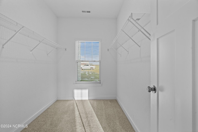 walk in closet with carpet flooring