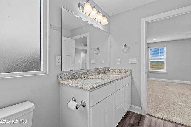 bathroom featuring vanity, wood-type flooring, and toilet