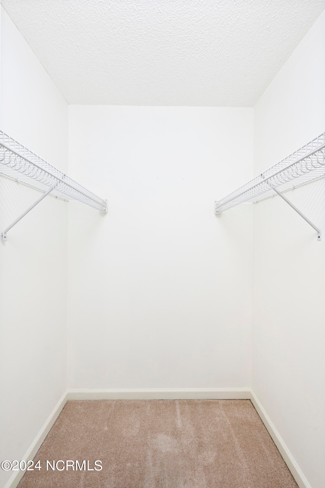 spacious closet featuring carpet