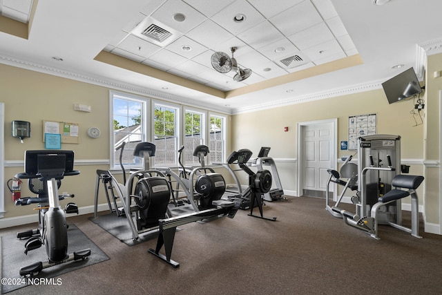 workout area featuring crown molding and a raised ceiling