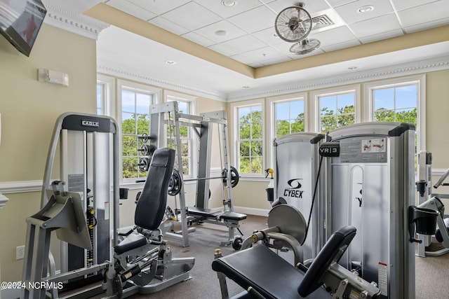 workout area with ornamental molding, a paneled ceiling, and a healthy amount of sunlight