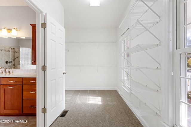 spacious closet featuring sink and carpet floors