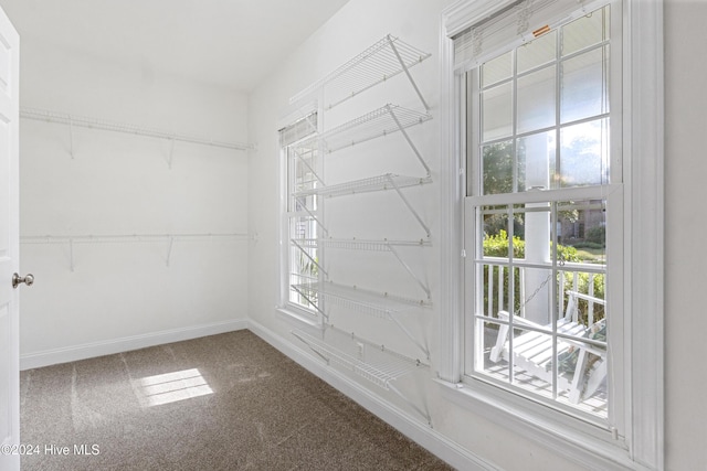 walk in closet featuring carpet floors