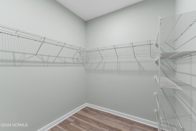 walk in closet with hardwood / wood-style flooring