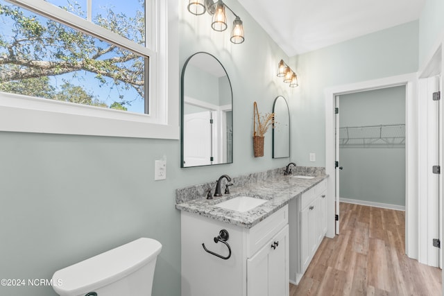 bathroom with plenty of natural light, toilet, wood-type flooring, and vanity