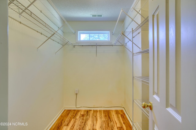 walk in closet with radiator heating unit and wood-type flooring