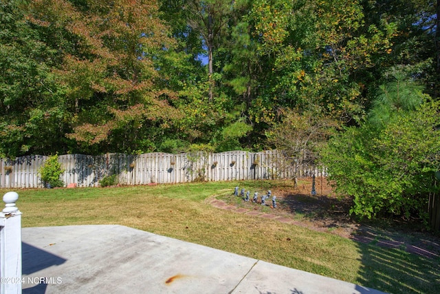 view of yard with a patio