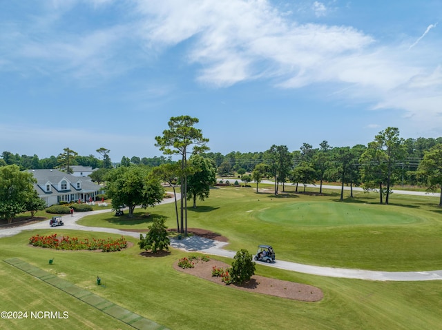 view of property's community with a yard