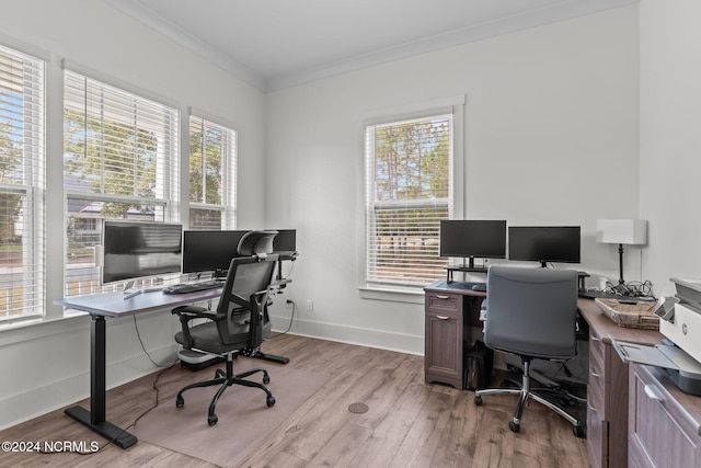 office space featuring a healthy amount of sunlight, ornamental molding, and light wood-type flooring