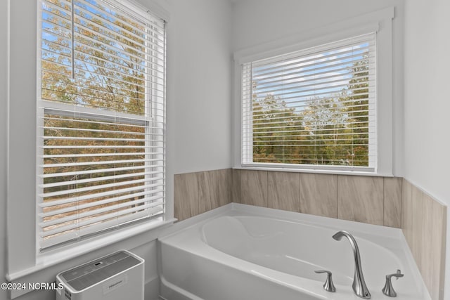 bathroom featuring a bathing tub