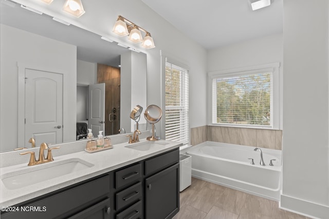 bathroom featuring vanity, a bath, and a wealth of natural light