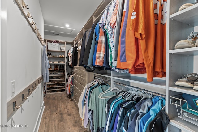 walk in closet featuring dark wood-type flooring