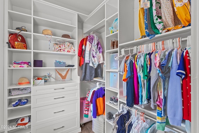 spacious closet with wood-type flooring