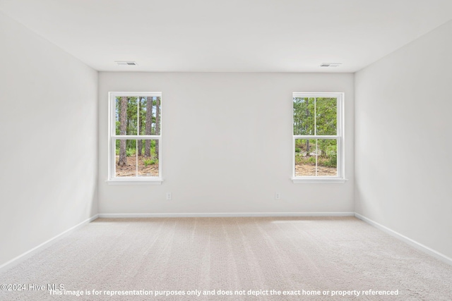 unfurnished room featuring a wealth of natural light and carpet floors