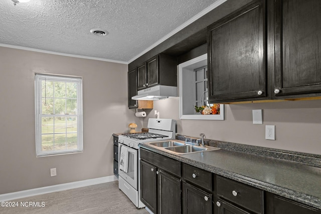 kitchen with light hardwood / wood-style floors, sink, ornamental molding, white range with gas cooktop, and a textured ceiling