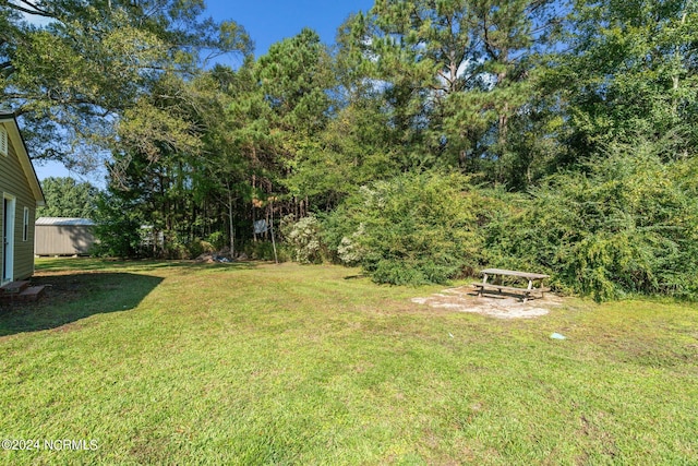 view of yard with a storage unit