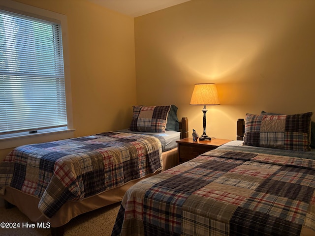 bedroom with carpet floors