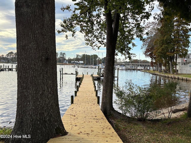 dock area with a water view