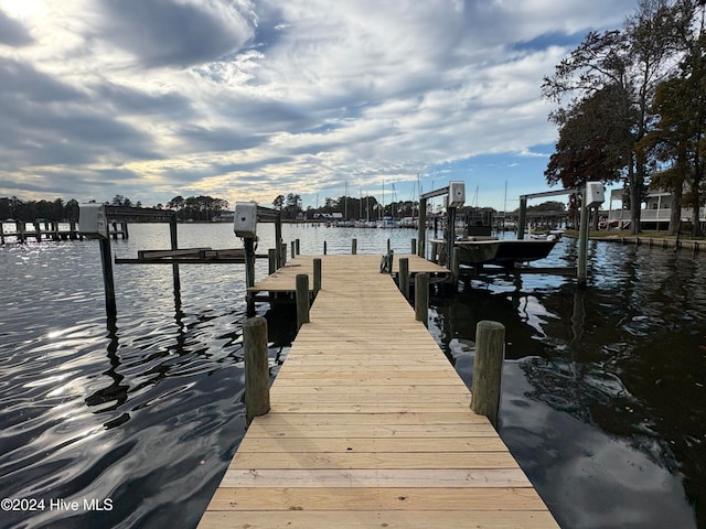 dock area with a water view