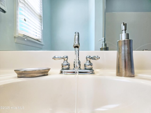 interior details with a sink