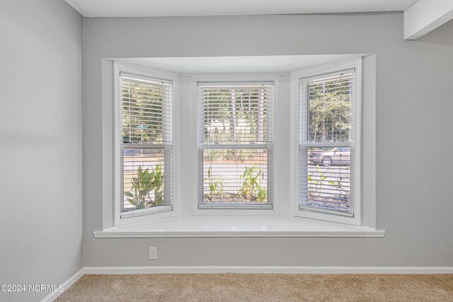 room details featuring carpet floors