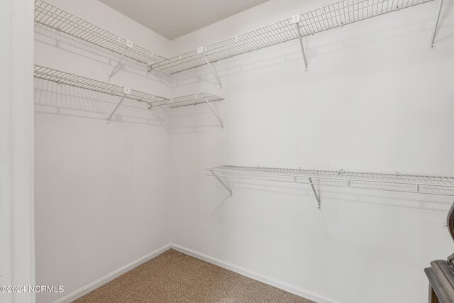 spacious closet with carpet