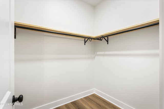 spacious closet featuring hardwood / wood-style floors