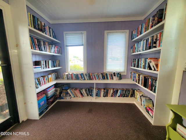 misc room featuring wood walls and carpet flooring