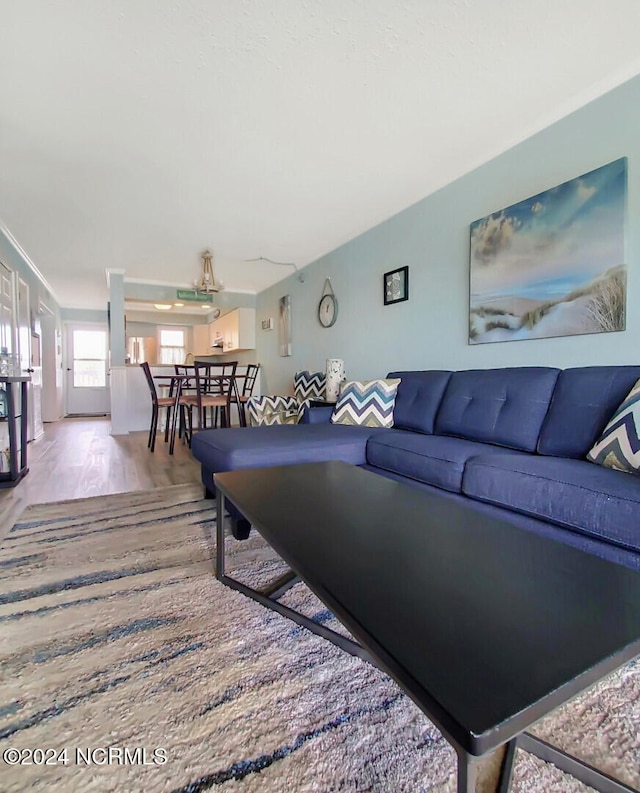 living room with light hardwood / wood-style flooring