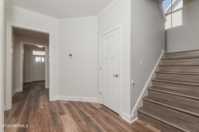 stairway featuring crown molding and wood-type flooring