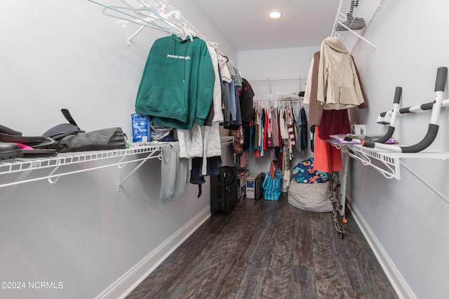 walk in closet with wood-type flooring