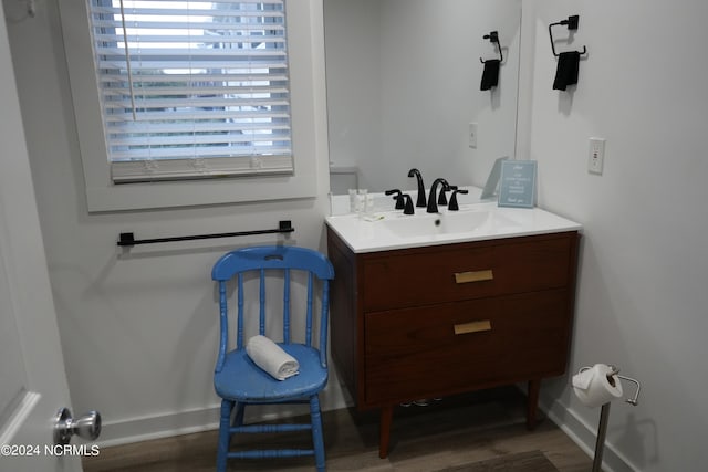 bathroom with hardwood / wood-style flooring and vanity