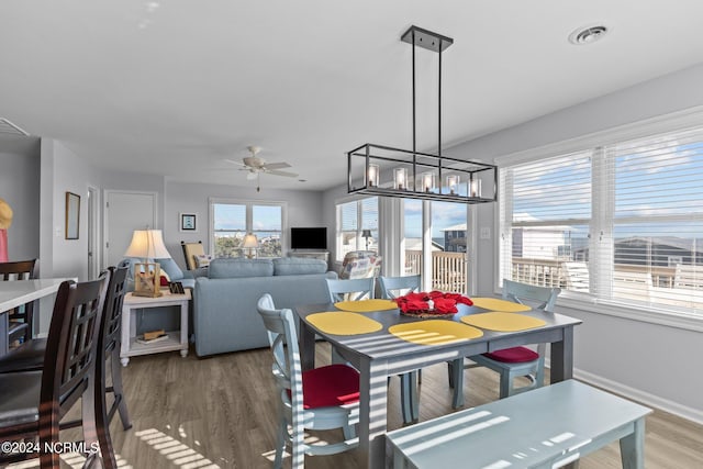 dining space with ceiling fan and hardwood / wood-style floors