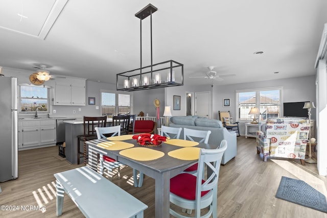 dining area featuring sink, light hardwood / wood-style floors, and ceiling fan