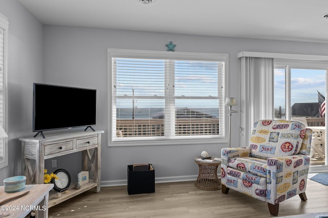 living area with light wood-type flooring