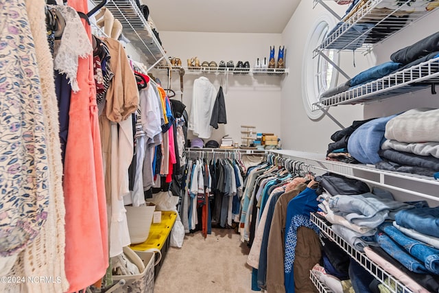 walk in closet featuring carpet flooring