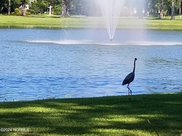 view of water feature