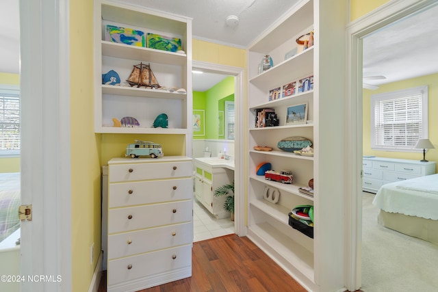 walk in closet with sink and dark hardwood / wood-style flooring