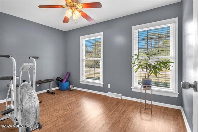 workout room with hardwood / wood-style floors, plenty of natural light, and ceiling fan