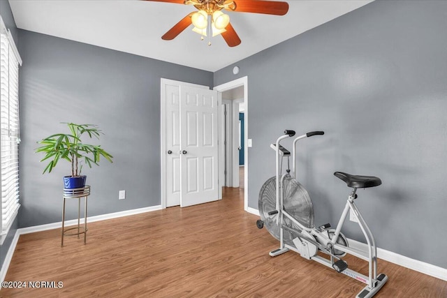 exercise area featuring wood-type flooring, ceiling fan, and a healthy amount of sunlight