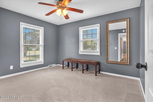 empty room with carpet flooring and ceiling fan