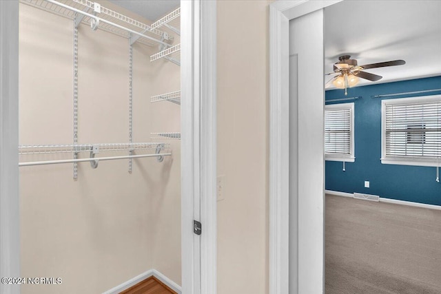 spacious closet with ceiling fan and carpet