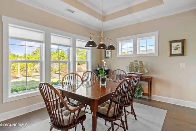 dining room with dark wood-type flooring and a wealth of natural light