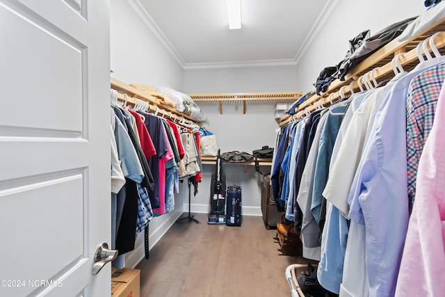 walk in closet with hardwood / wood-style flooring