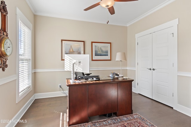 office featuring dark hardwood / wood-style flooring, ceiling fan, and crown molding