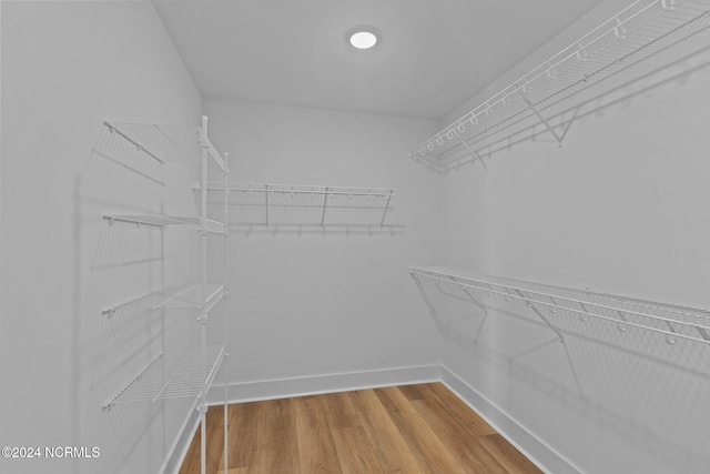 spacious closet with hardwood / wood-style floors