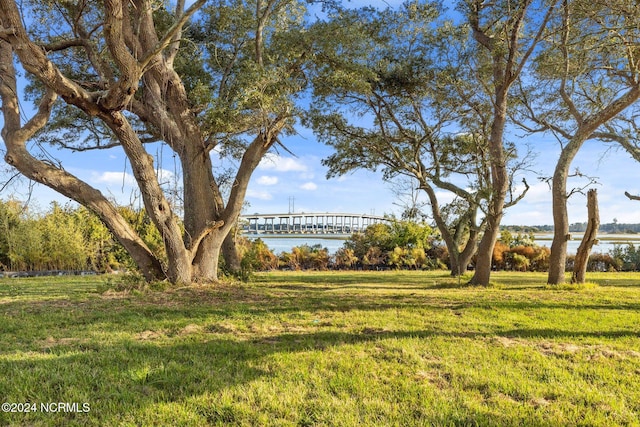 view of yard with a water view