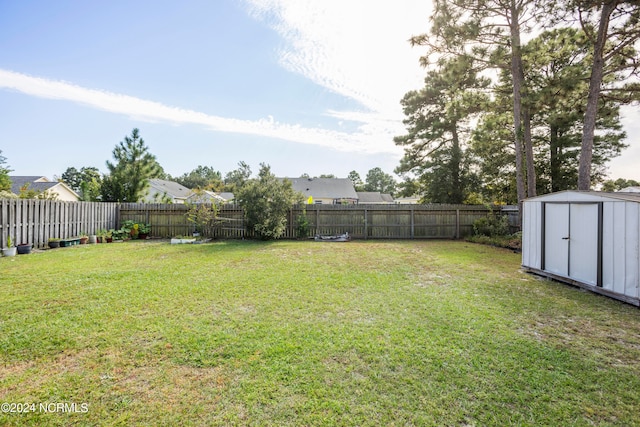 view of yard with a storage shed